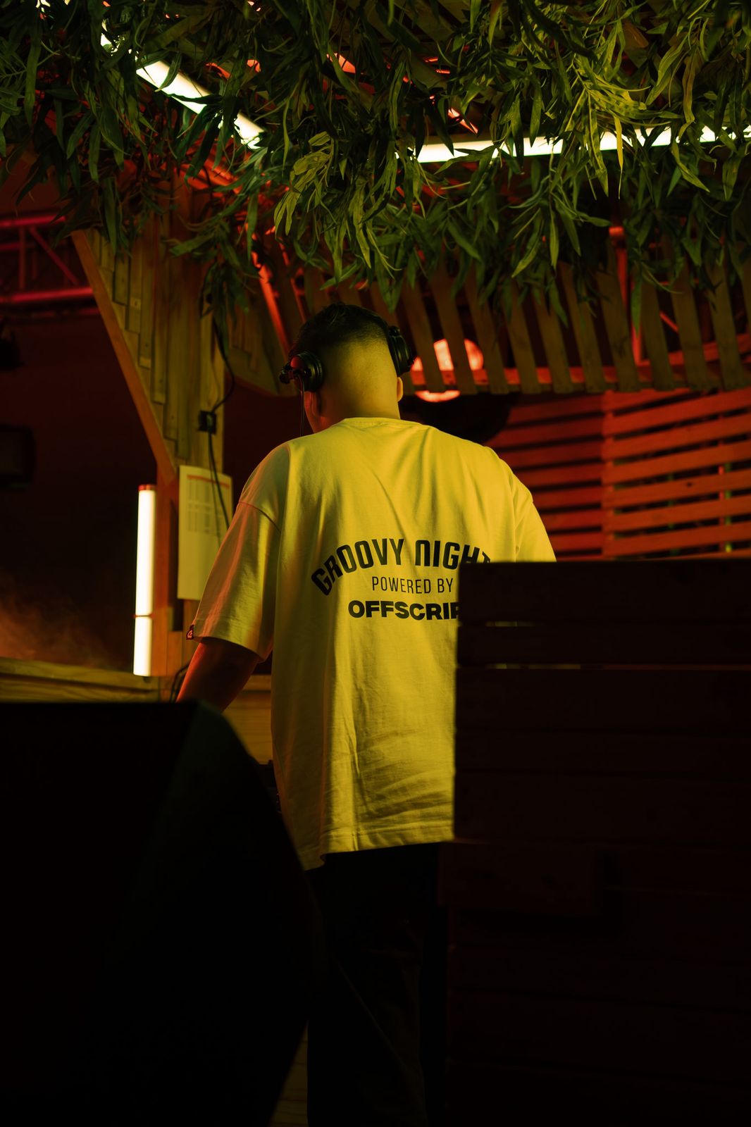 Groovy Nights Powered by Offscript: Rocking the Daisies, Off the Script